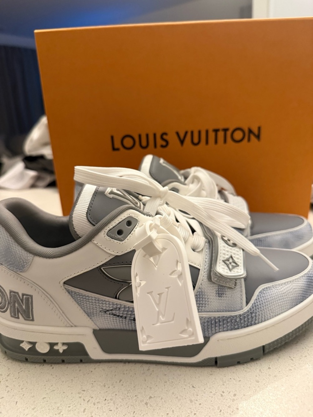 Louis Vuitton LV trainer White and Gray Men's Sneakers